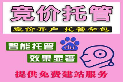 SEM托管公司实战案例：如何提高搜索引擎排名